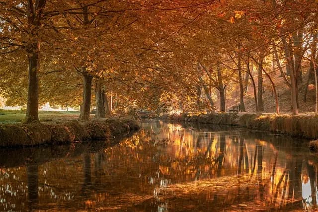 Escapadas de Relax en Spa: Guía Completa para Desconectar
